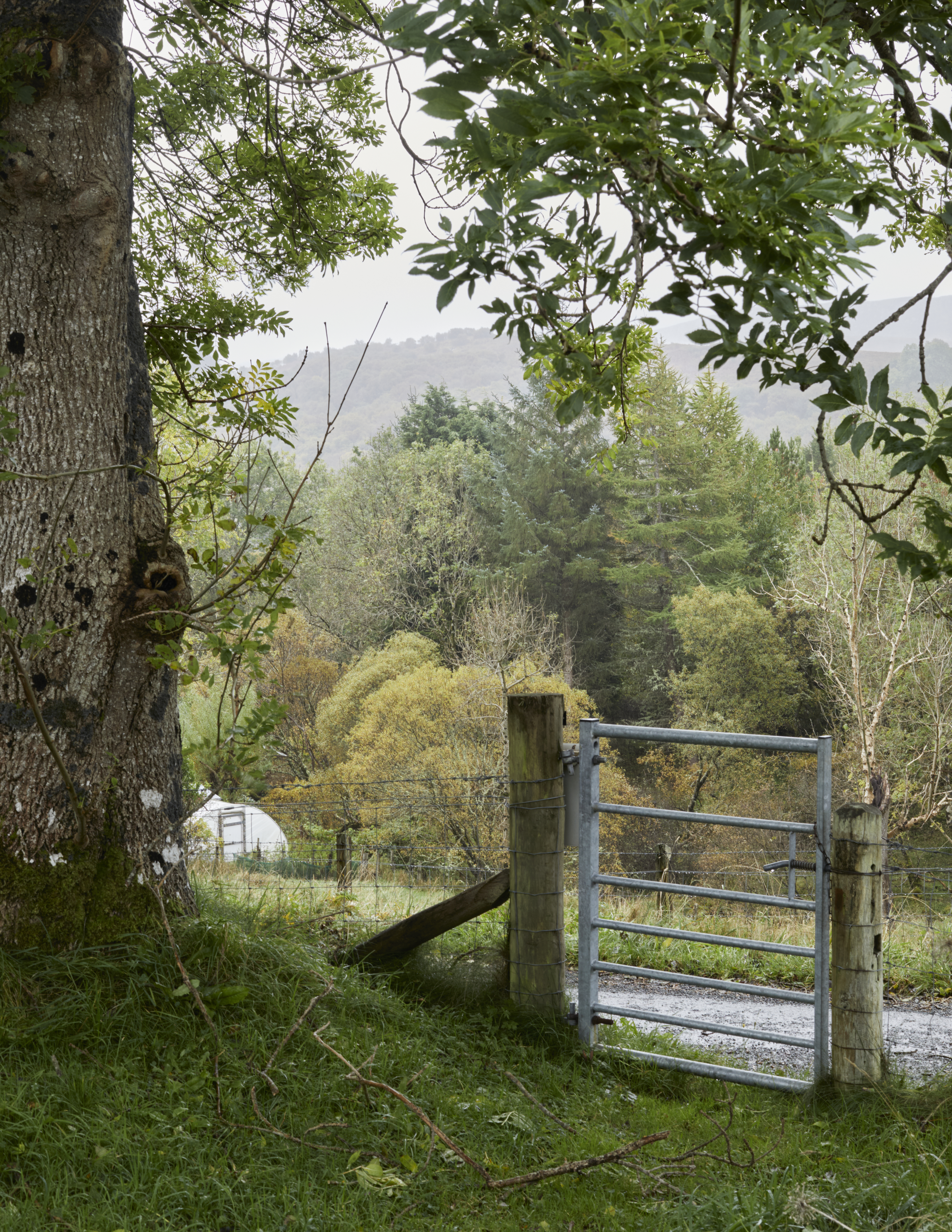 View from front door